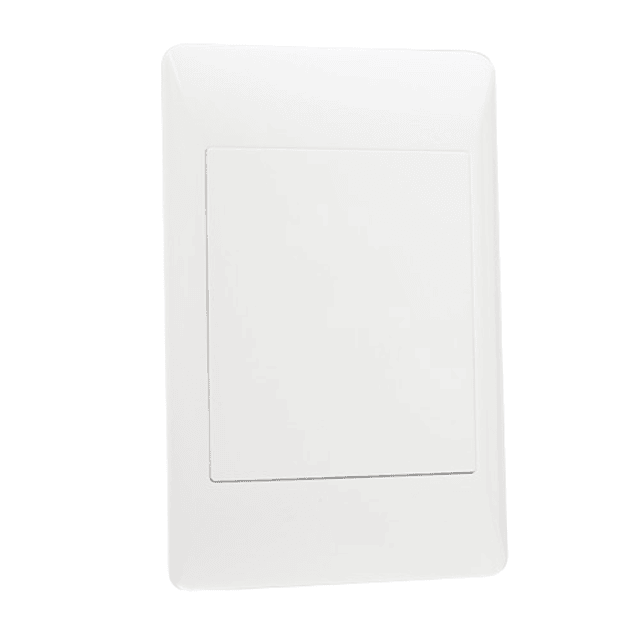 Blank Plate – 2 X 4