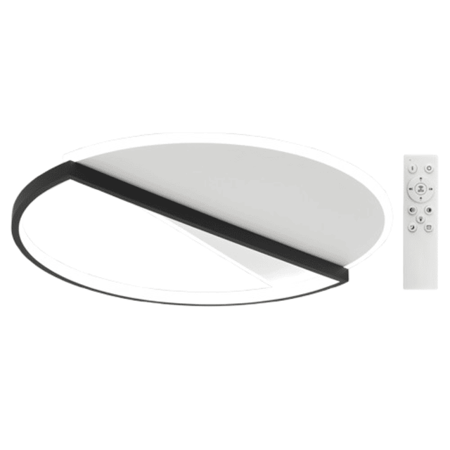 Ceiling Light