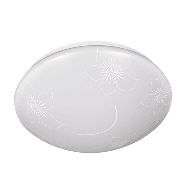 Ceiling Light