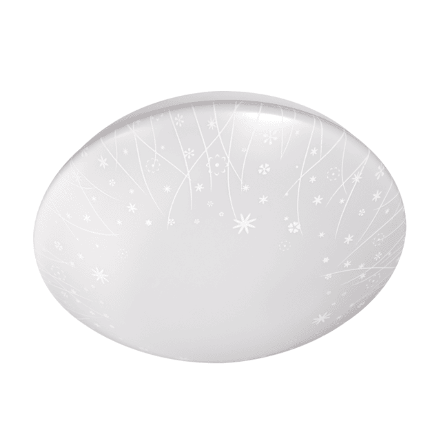 Ceiling Light