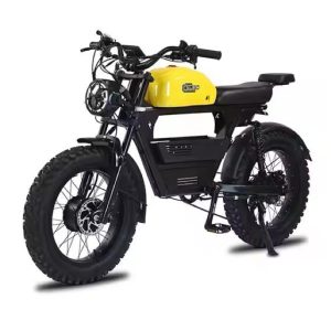 Motorcycle 48V 35Ah 1500W