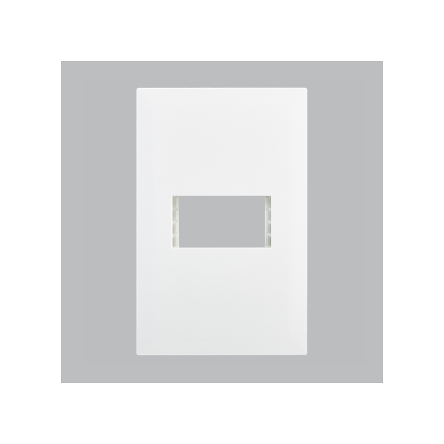 Single Module Cover Plate – 4×2
