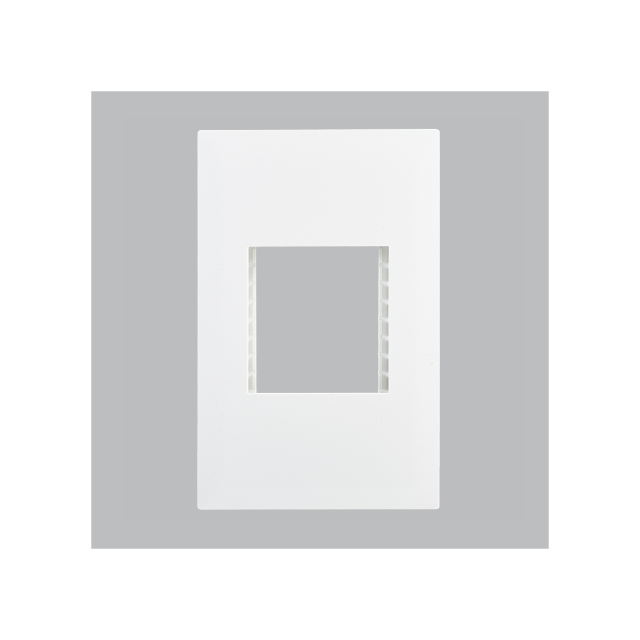Double Module Cover Plate – 4×2