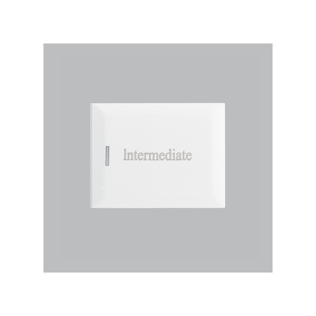 Intermediate Switch ( 1.5 Module )