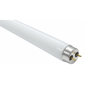 T8 Fluorescent Tubes
