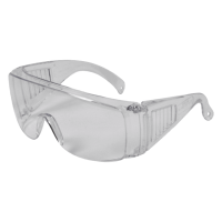 Clear Safety Goggles