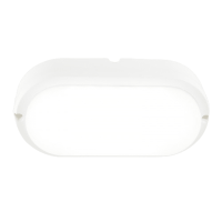 White 8W LED Oval Bulkhead