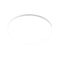 White Polycarbonate Ceiling Fitting