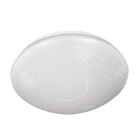 Ceiling Light
