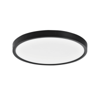 Matte Black Ceiling Light