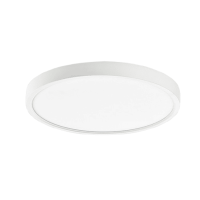 Matte White Ceiling Light