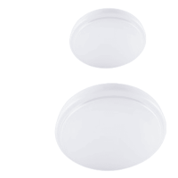 Cool White Ceiling Lights