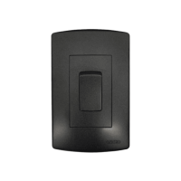 4X2 30A 2 Pole Isolator