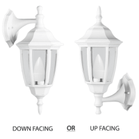 Convertible Up or Down Facing Lantern