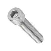 Stainless Steel Allen Cap Screw 1pce