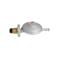 Gas Regulator