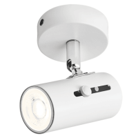Matte White Spotlight