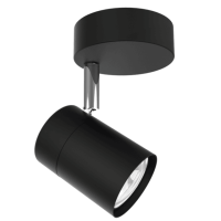 Matt Black and Polished Chrome Spotlight