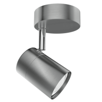 Satin Chrome Spotlight