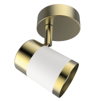 Matt White and Satin Brass Spotlight