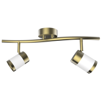 Matt White and Satin Brass Spotlight