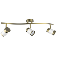Matt White and Satin Brass Spotlight