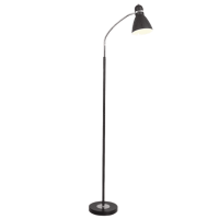 Metal Flexi Head Black Floor Lamp