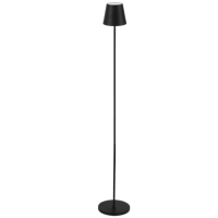 Rechargeable LED Floor Lamp