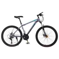 26″ 24-Speed Mountain Bicycle