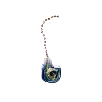 Canopy Pull Switch