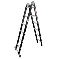 Dual Ladder