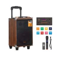 BAAB 6000W Wooden Karaoke Speaker 8″ Portable