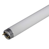 Standard T8 Tube Cool White