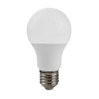 E27 9W Daylight Frosted LED Bulb