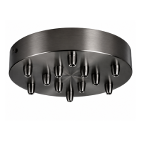 Extra Large 7-Hole Ceiling Plate – Black