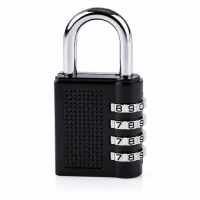 Coded Lock – Medium & Large