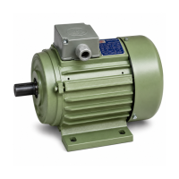 Electric Motor – 0.75kW