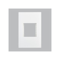 Double Module Cover Plate – 4×2
