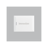 Intermediate Switch ( 1.5 Module )
