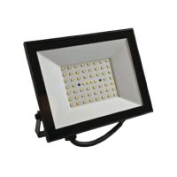 LED Floodlight Cool Daylight