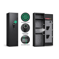 Fingerprint Recognition Safe
