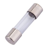 Glass Fuses
