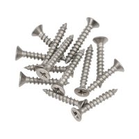 Stainless Steel Chipboard Screw 10pce