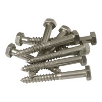 Stainless Steel Coach Screw 10pce