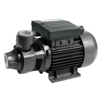 1.1kW Peripheral Water Pump