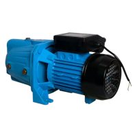 750W 1HP Self-Priming Pump