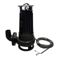 2.2kW Cast Iron Sewerage Pump With Cutter Impeller