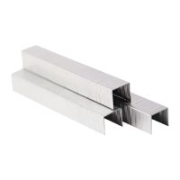 Staples 1000pcs 0.7mm x 11.3mm